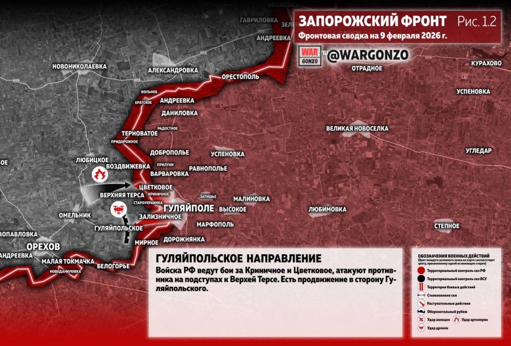 Семен Пегов - последние новости от 10 февраля 2026 года