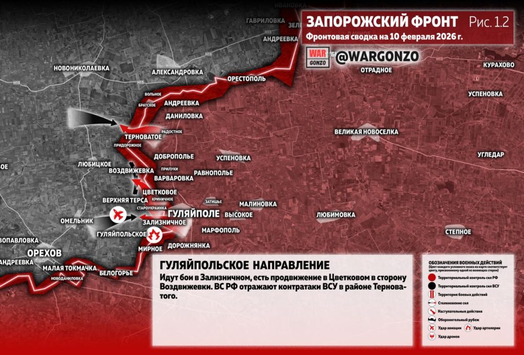 Семен Пегов - последние новости от 11 февраля 2026 года